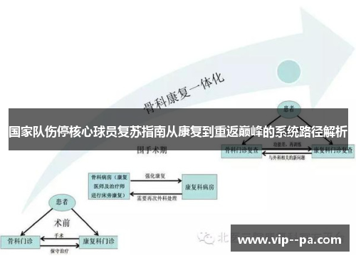 国家队伤停核心球员复苏指南从康复到重返巅峰的系统路径解析