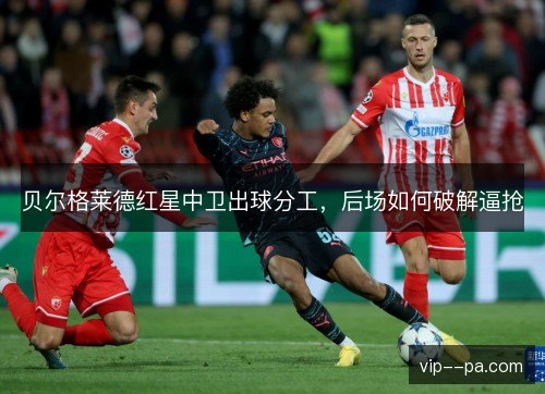 贝尔格莱德红星中卫出球分工,后场如何破解逼抢 贝尔格莱德红星中卫出球分工,后场如何破解逼抢